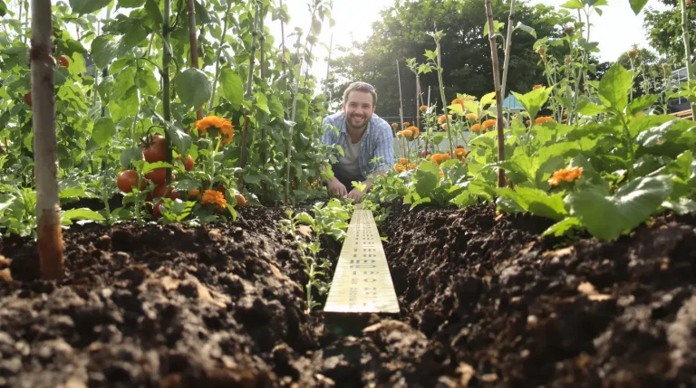Ces 15 centimètres que les bons jardiniers savent vraiment utiliser au potager, voici pourquoi